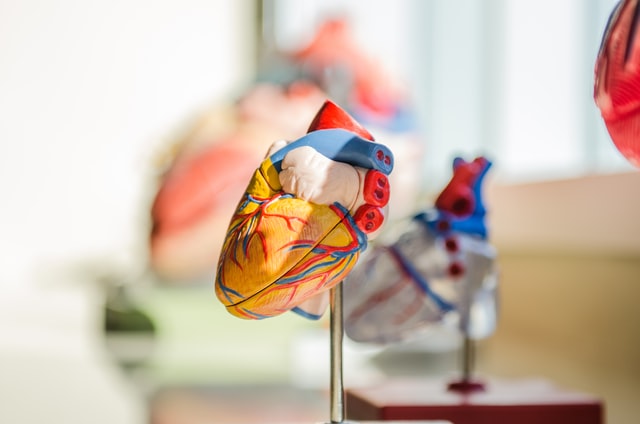 The World’s Struggle Against Hypertension – The Role of Artificial Intelligence