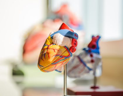 The World’s Struggle Against Hypertension – The Role of Artificial Intelligence
